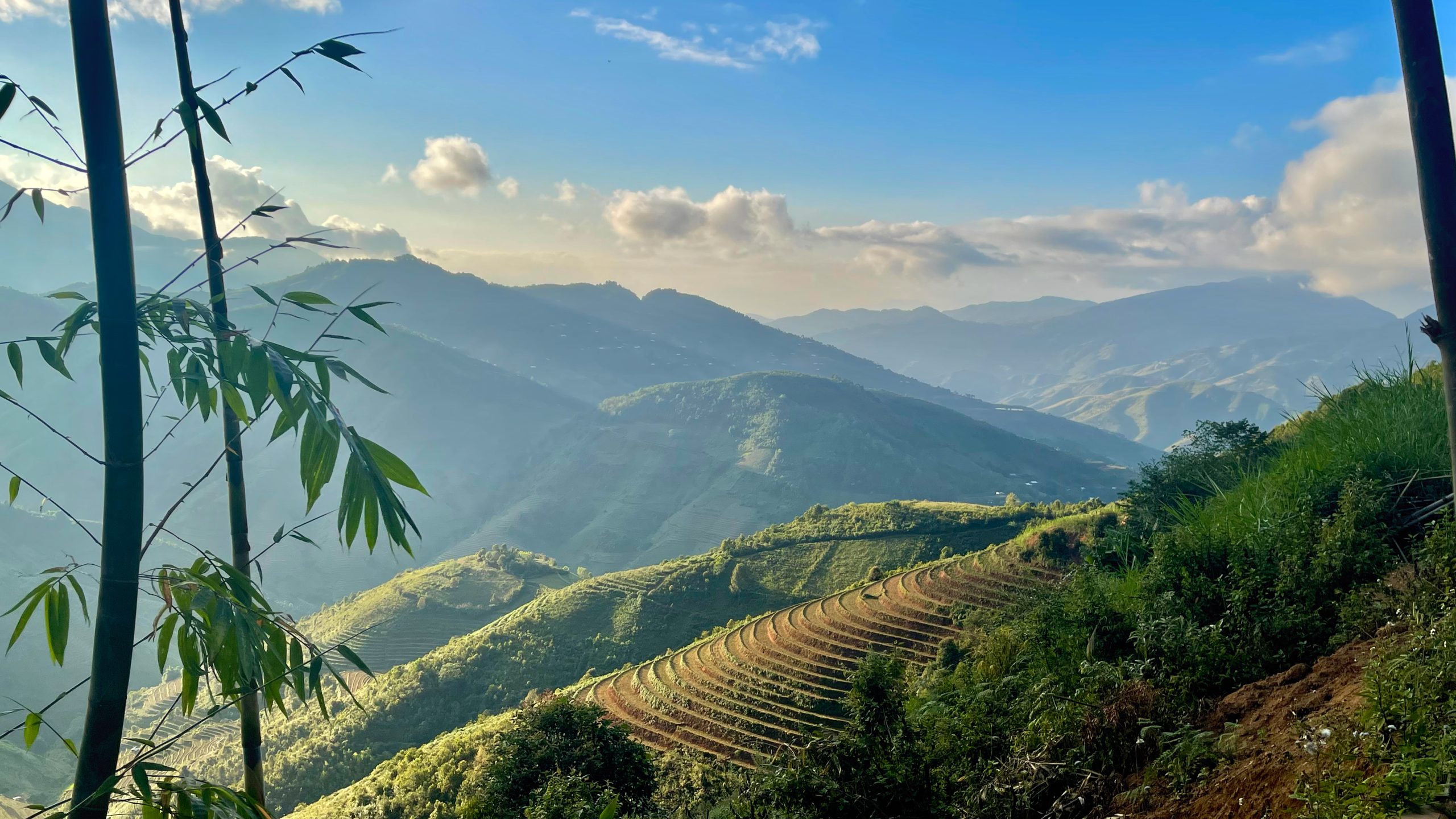 Lần đầu ký kết chuỗi liên kết Sơn tra hữu cơ ứng dụng công nghệ số tại Lào Cai và Sơn La