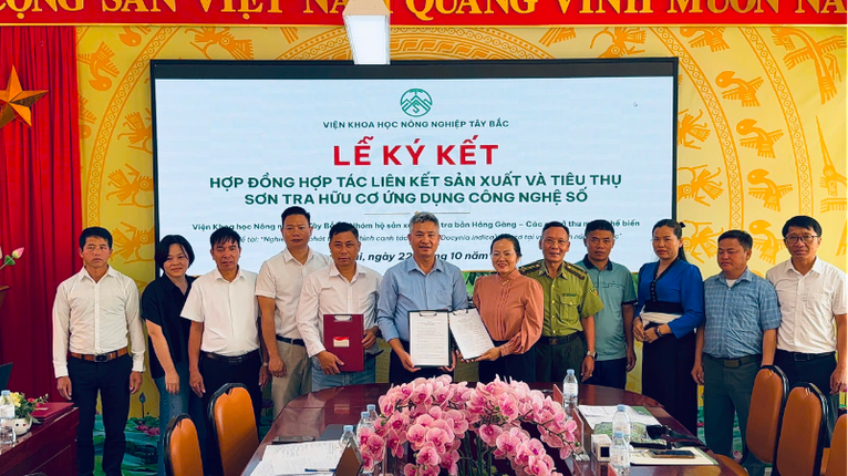 Lễ ký kết hợp đồng liên kết Sơn tra hữu cơ tại xã Lao Chải, Lào Cai